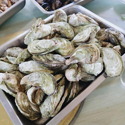 洲爱情岛论坛免费视频界面展示